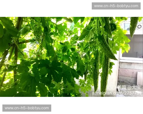 跨越4000公里的巅峰对话：当大漠孤烟遇上珠江灯火，谁才是你灵魂的终极归宿？